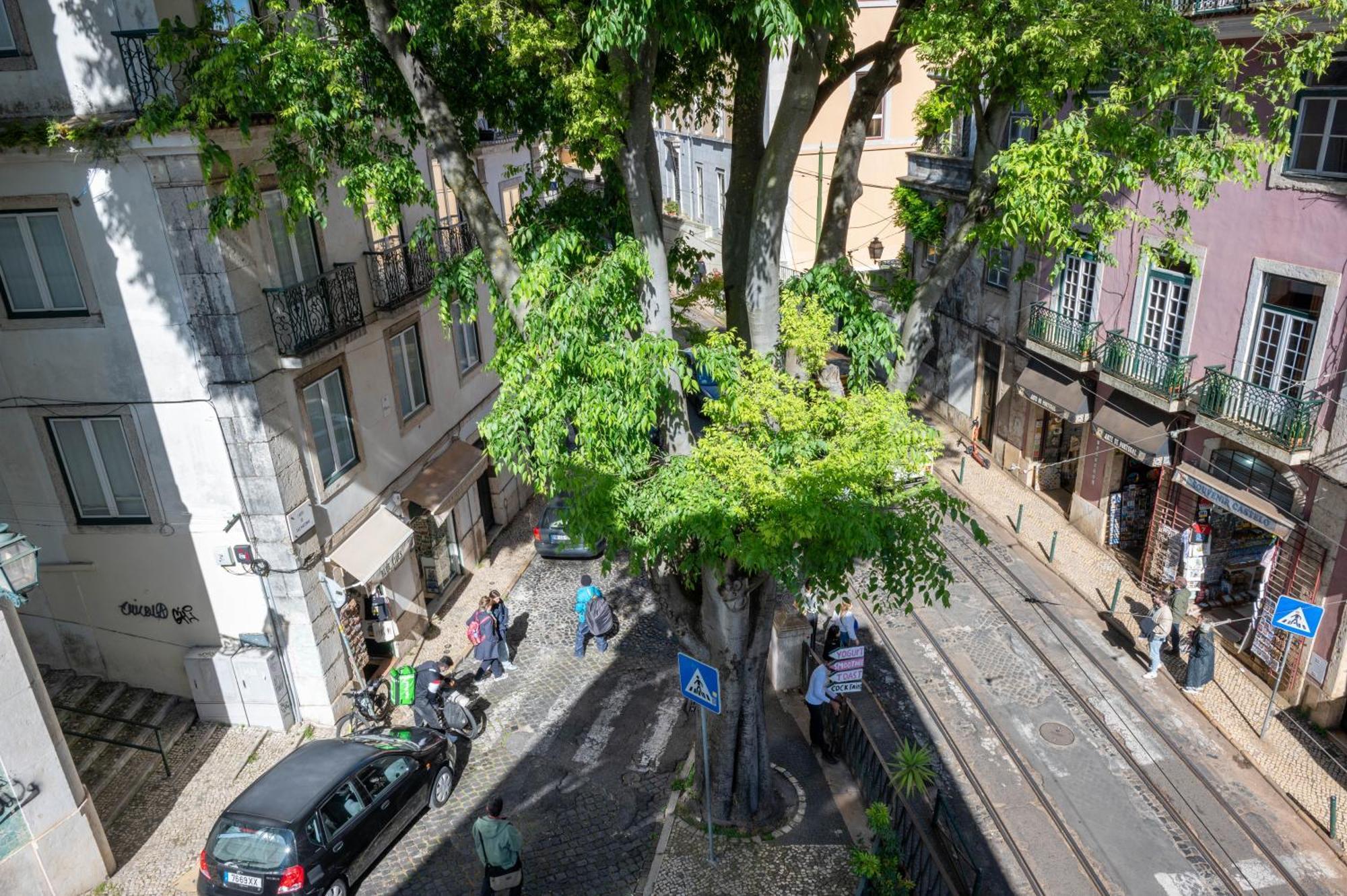 Portas Do Teatro Apartments Lisbon Bilik gambar